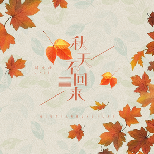 午夜福利视频合集
